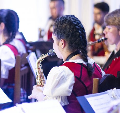 Cäcilientag, Tag der Hausmusik und des Musikers